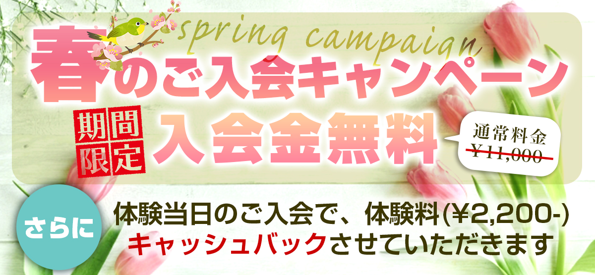 春のご入会キャンペーン